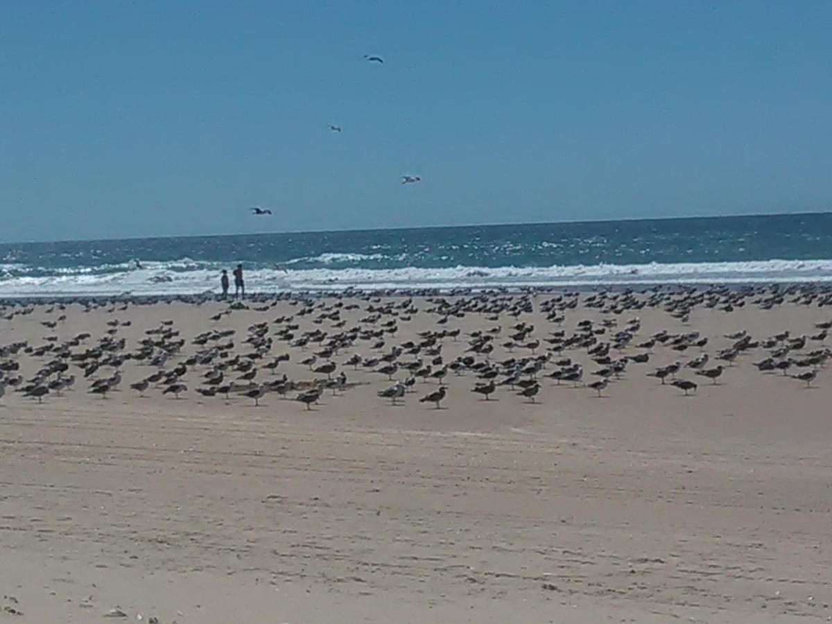 Caparica Holidays Charneca  Zewnętrze zdjęcie